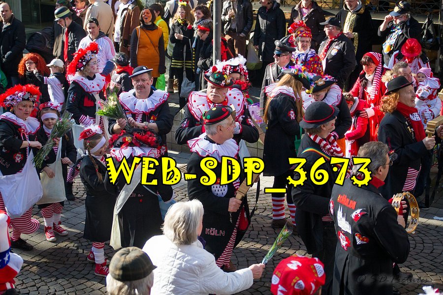 WEB SDP 3673