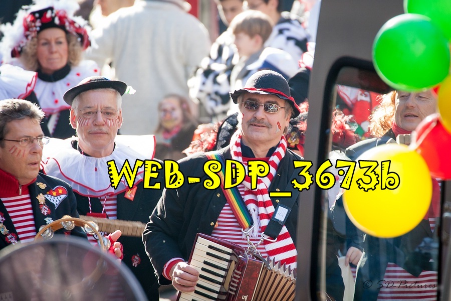 WEB SDP 3673b
