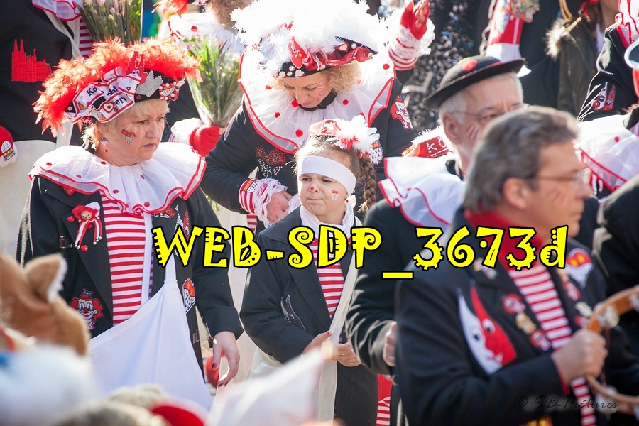 WEB SDP 3673d