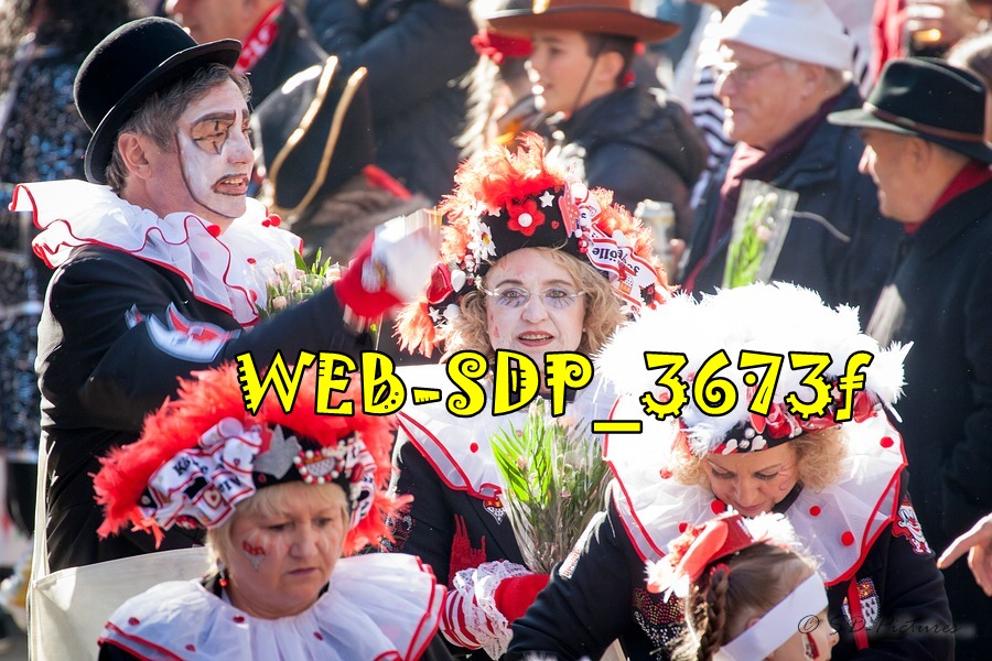 WEB SDP 3673f