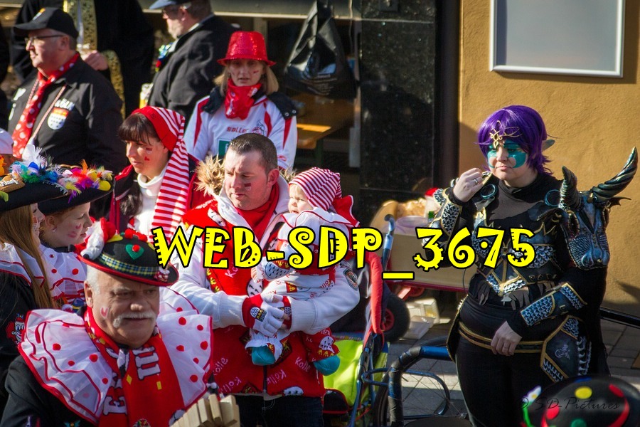 WEB SDP 3675