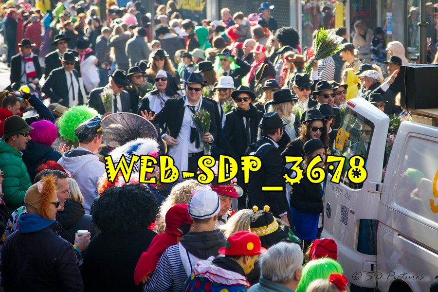WEB SDP 3678