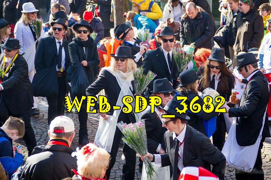 WEB SDP 3682