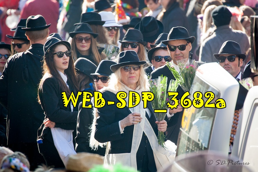 WEB SDP 3682a