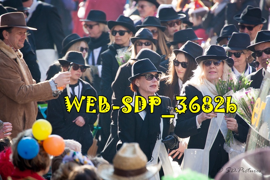 WEB SDP 3682b