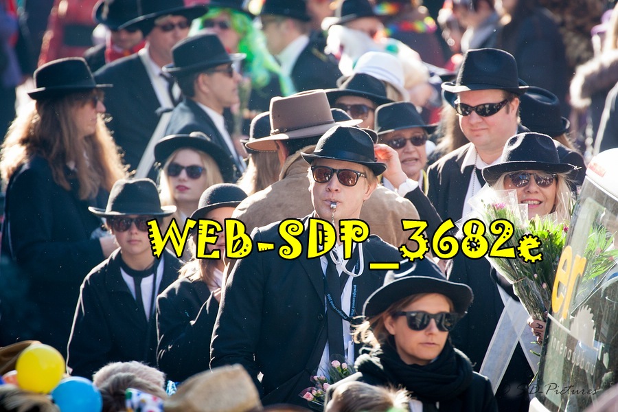 WEB SDP 3682e