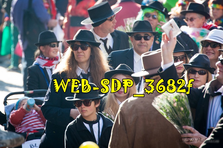 WEB SDP 3682f