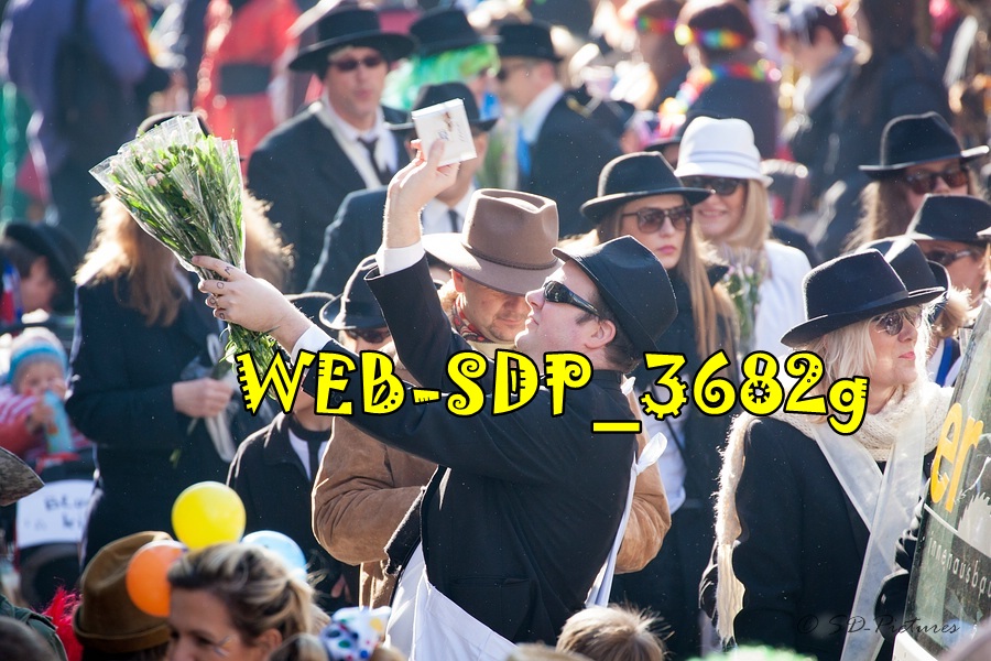 WEB SDP 3682g