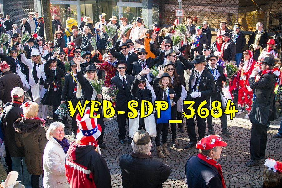 WEB SDP 3684