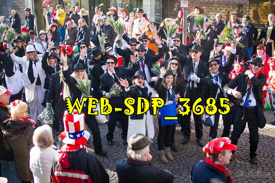 WEB SDP 3685