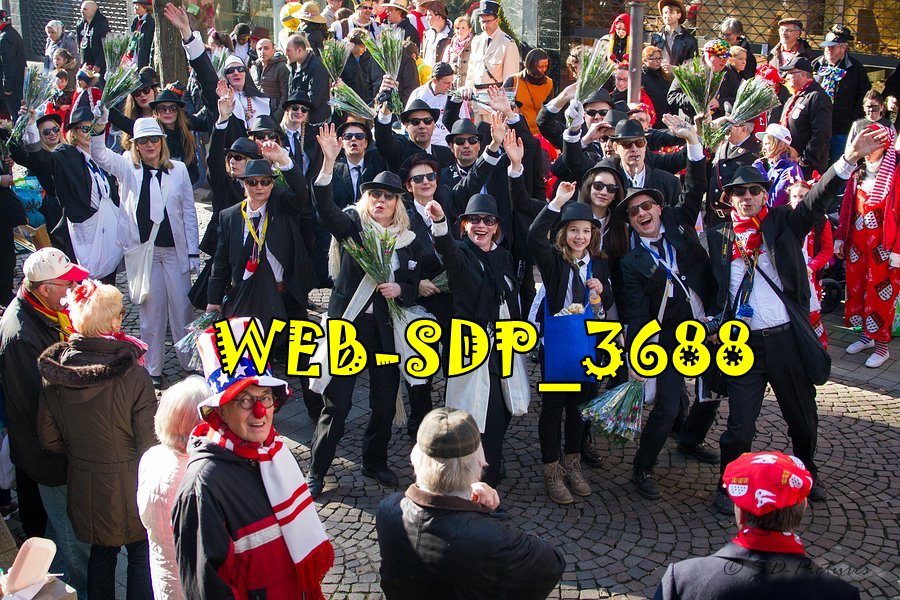 WEB SDP 3688
