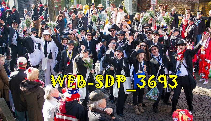 WEB SDP 3693