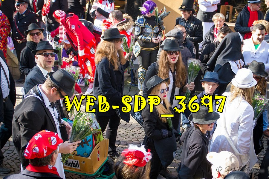 WEB SDP 3697