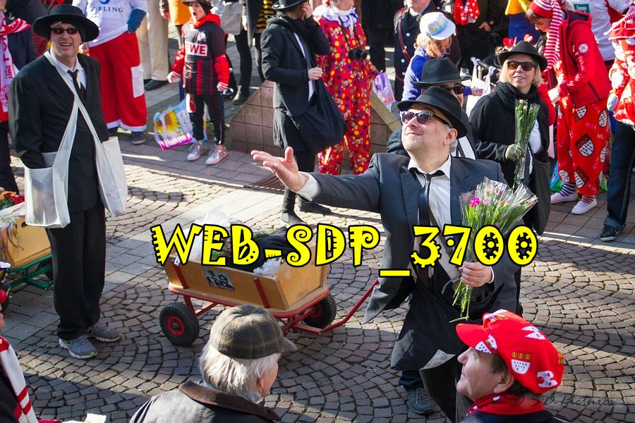 WEB SDP 3700