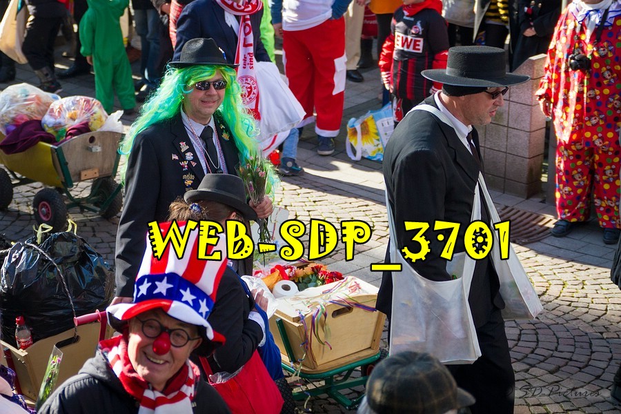 WEB SDP 3701
