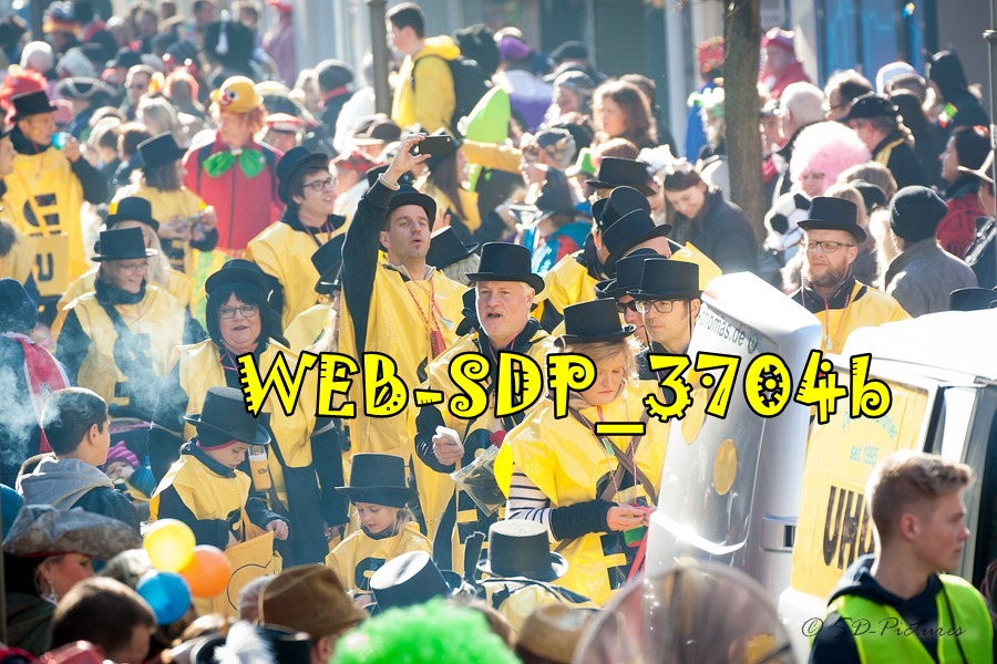 WEB SDP 3704b