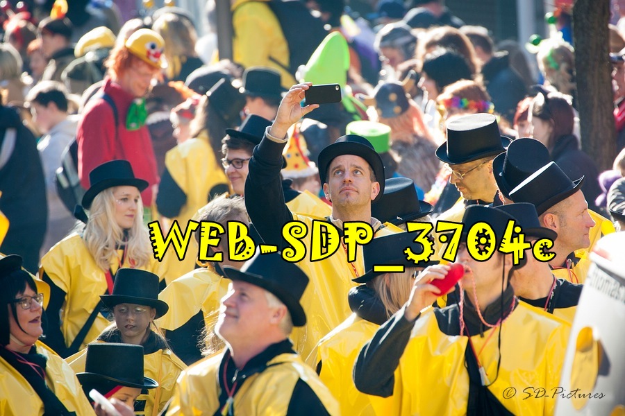 WEB SDP 3704c