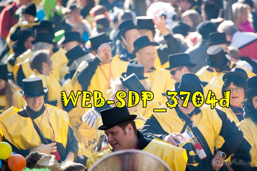 WEB SDP 3704d