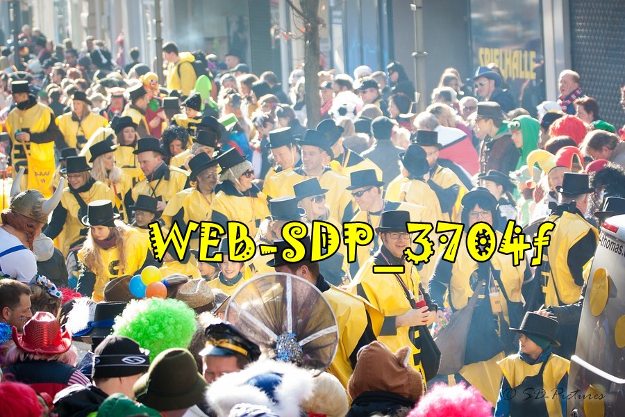 WEB SDP 3704f