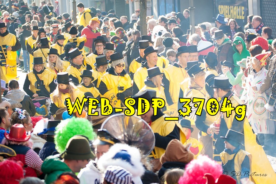 WEB SDP 3704g