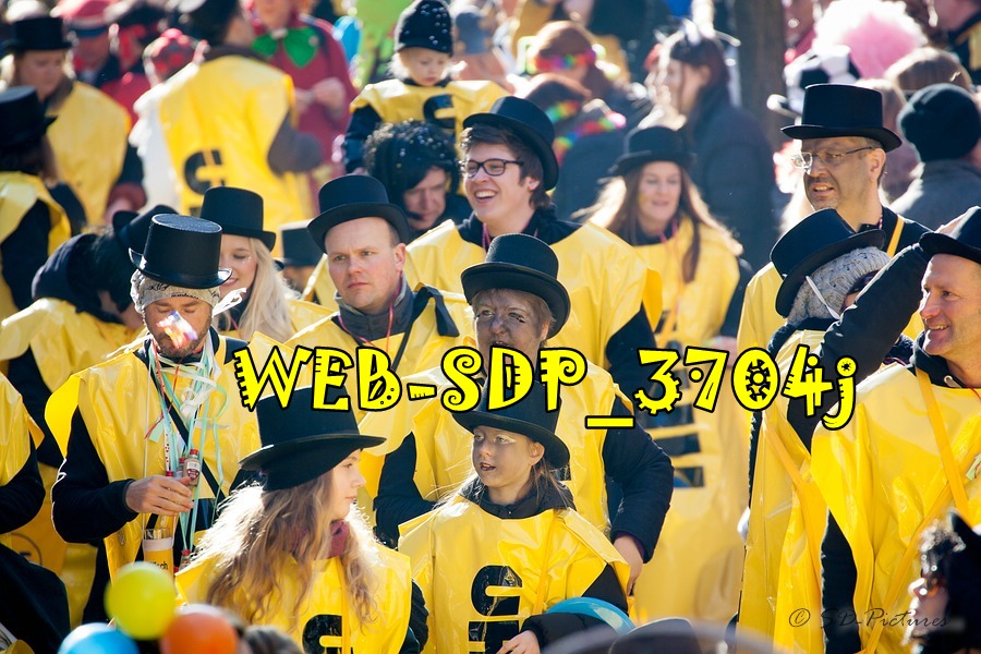 WEB SDP 3704j