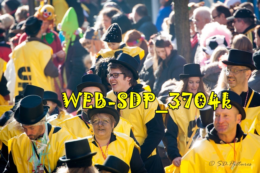 WEB SDP 3704k