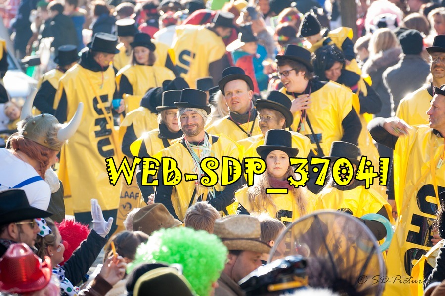 WEB SDP 3704l