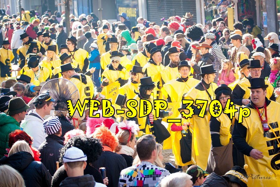WEB SDP 3704p