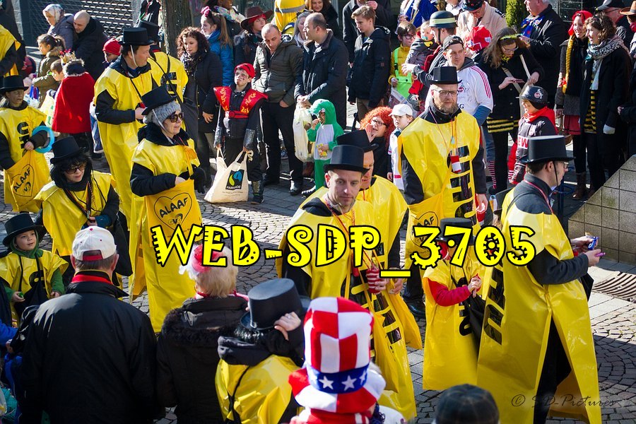 WEB SDP 3705