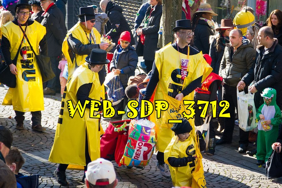 WEB SDP 3712