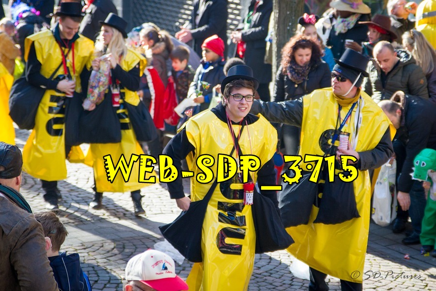 WEB SDP 3715