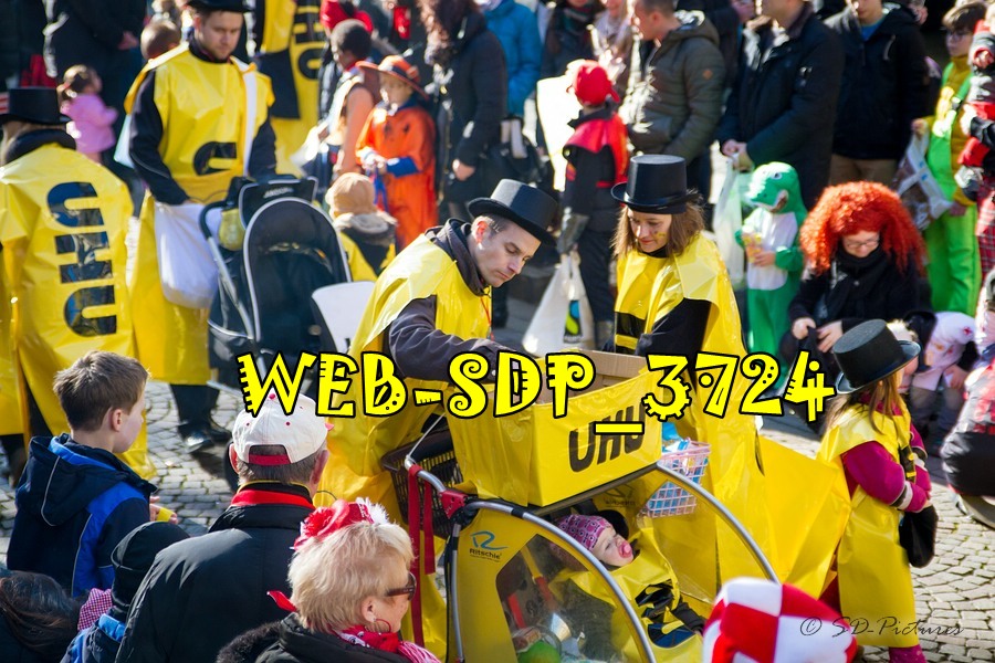 WEB SDP 3724