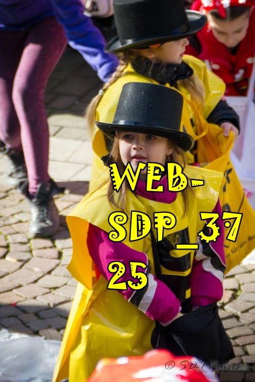 WEB SDP 3725