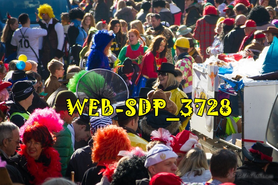 WEB SDP 3728