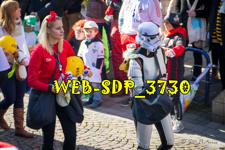 WEB SDP 3730