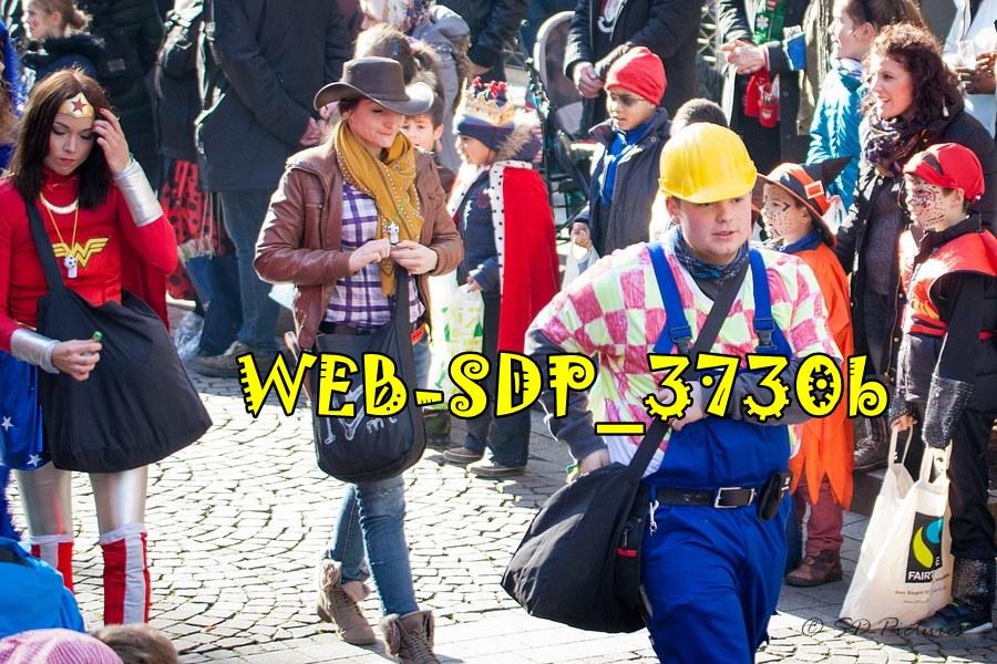 WEB SDP 3730b