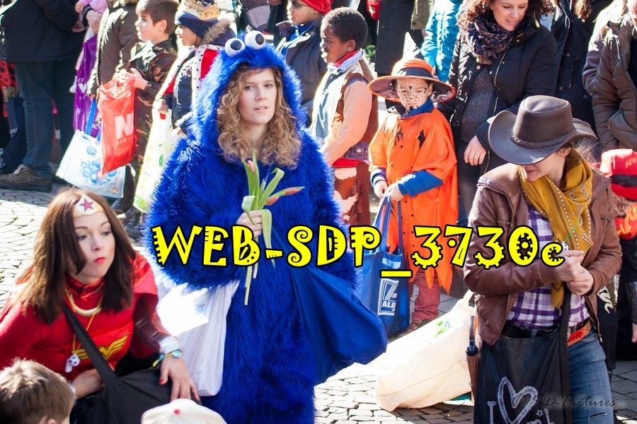WEB SDP 3730c