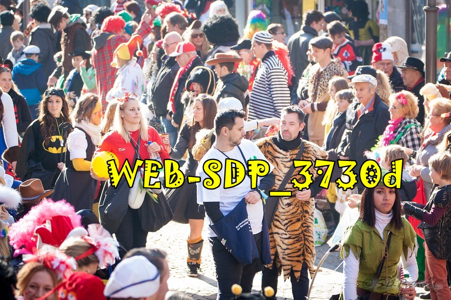 WEB SDP 3730d