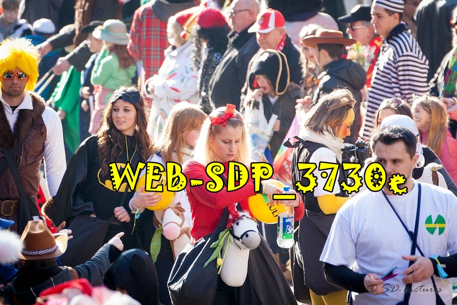 WEB SDP 3730e