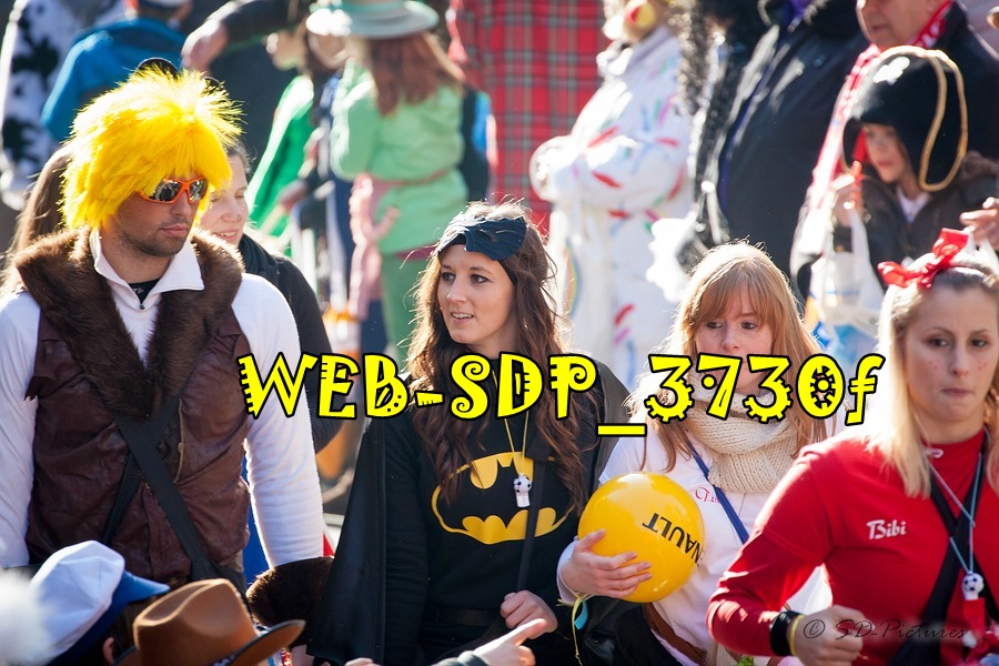 WEB SDP 3730f