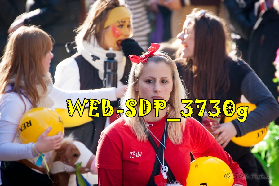 WEB SDP 3730g