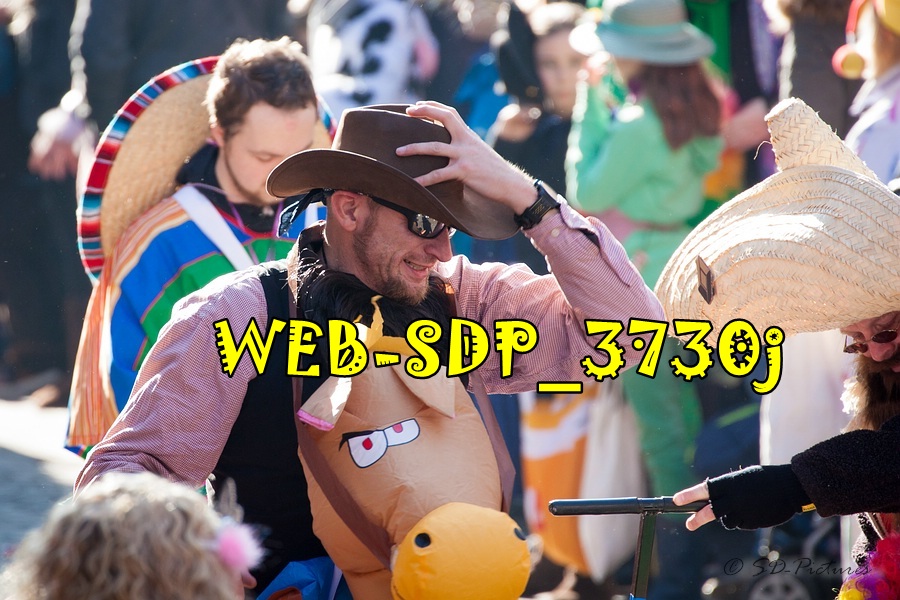 WEB SDP 3730j