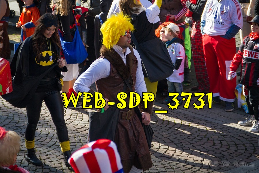 WEB SDP 3731