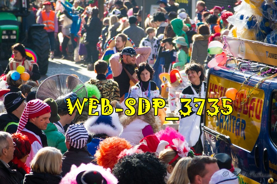 WEB SDP 3735