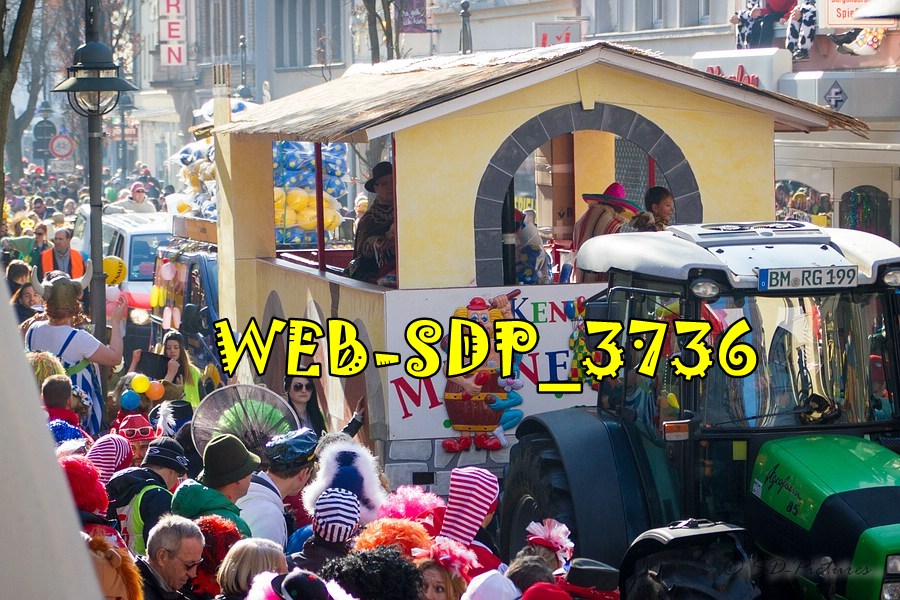 WEB SDP 3736