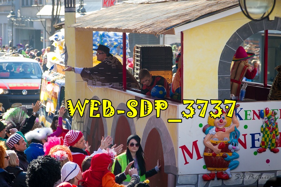 WEB SDP 3737