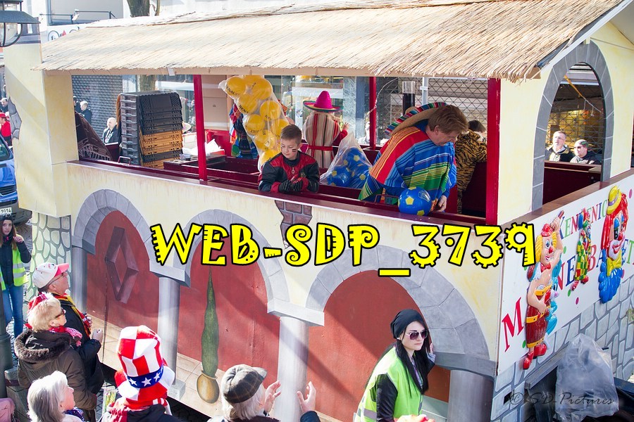 WEB SDP 3739