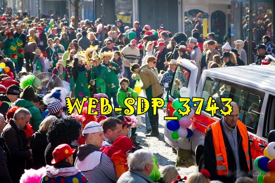 WEB SDP 3743