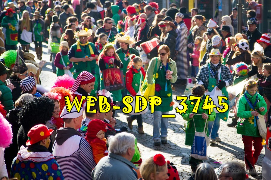 WEB SDP 3745