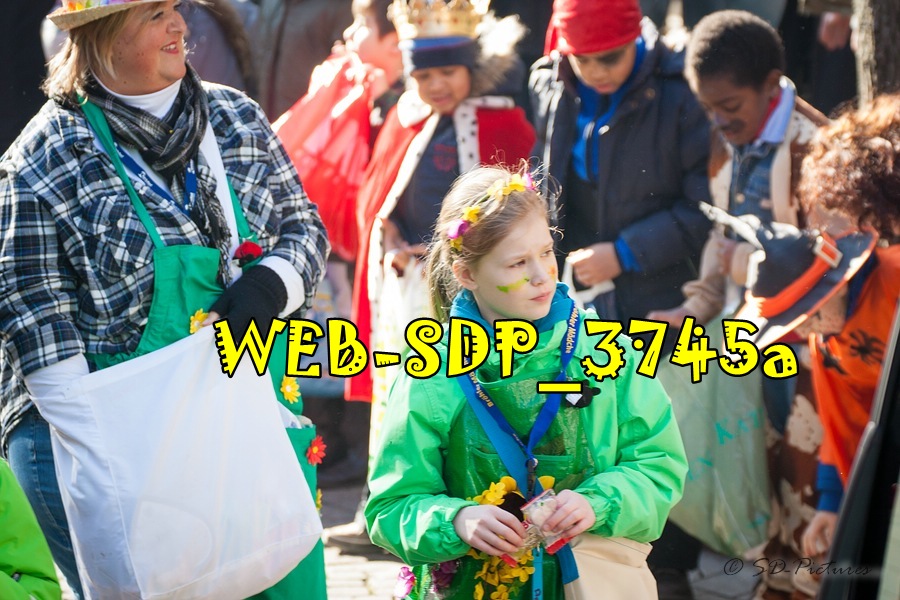 WEB SDP 3745a